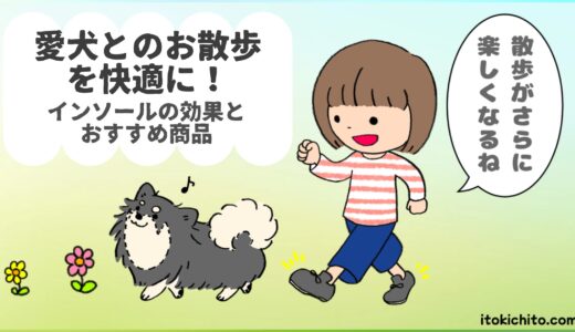 愛犬とのお散歩を快適に！インソールの効果とおすすめ商品